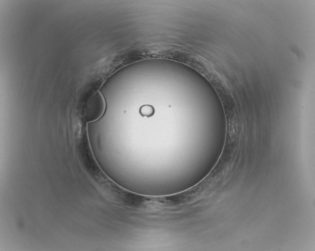 X0000115820703200911271137