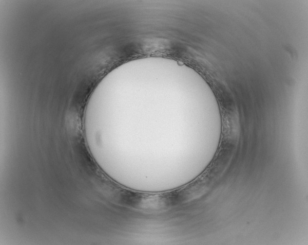 X0000115820705200911271137