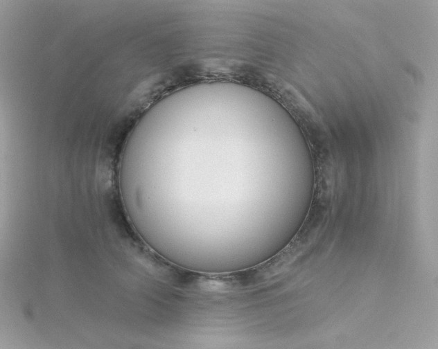 X0000115820706200911271137