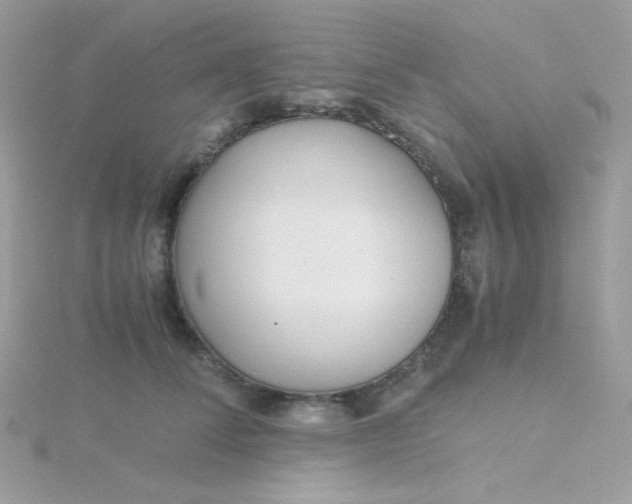 X0000115820708200911271137