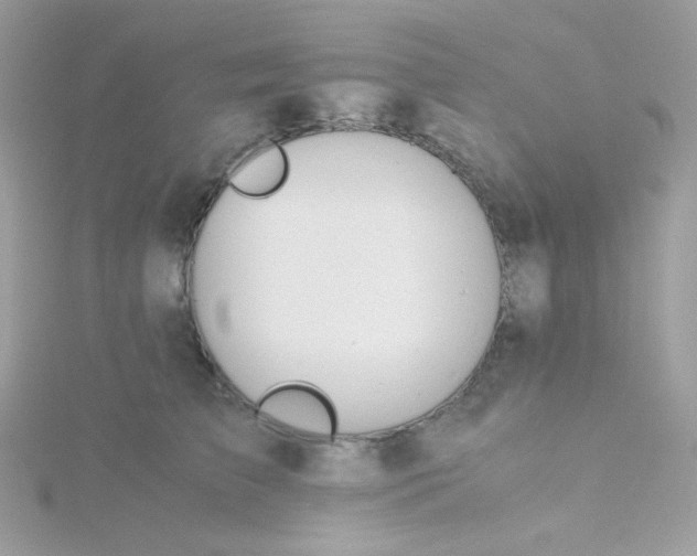 X0000115820709200911271137