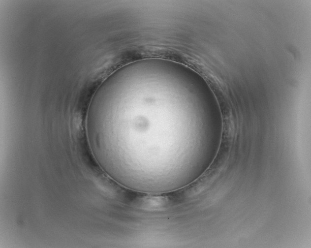 X0000115820711200911271137