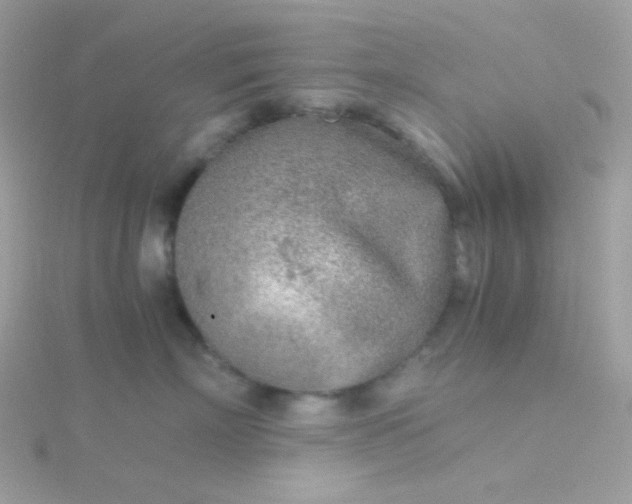 X0000115820718200911271137