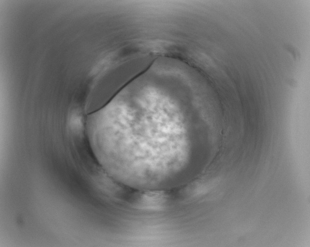 X0000115820720200911271137