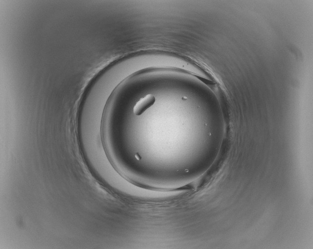 X0000115820721200911271136