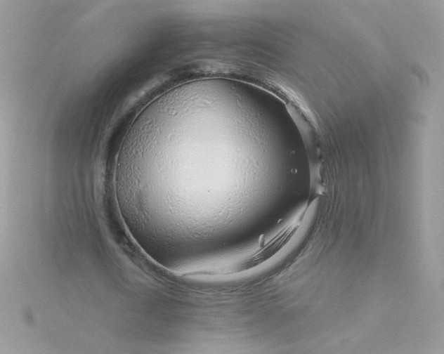 X0000115820722200911271136