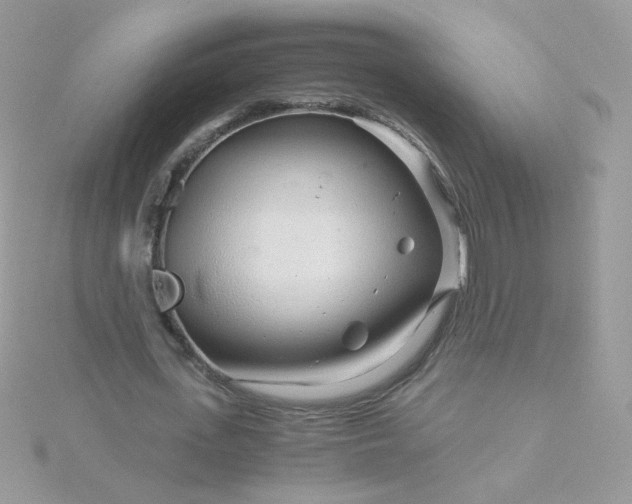 X0000115820723200911271136