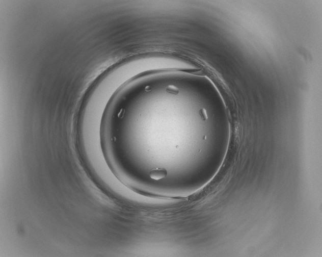 X0000115820725200911271137