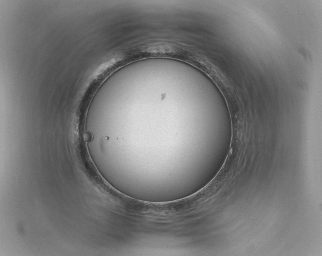 X0000115820727200911271137