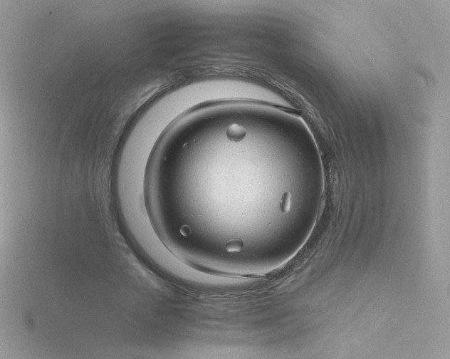 X0000115820729200911271137