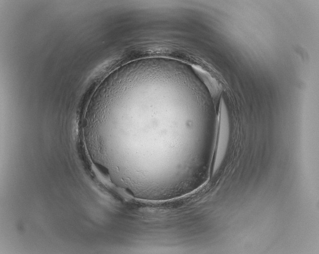 X0000115820733200911271137