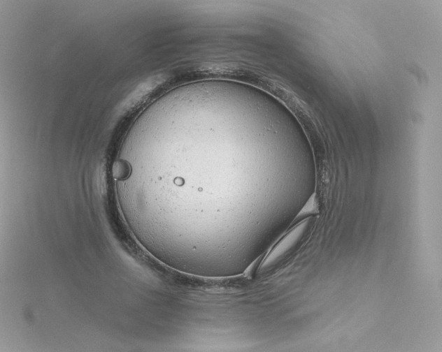 X0000115820734200911271137