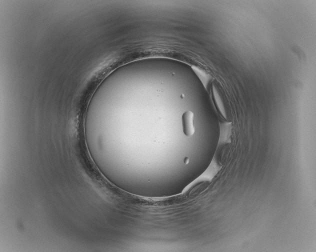 X0000115820735200911271137