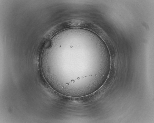 X0000115820737200911271137