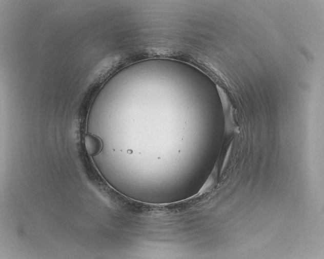 X0000115820738200911271137