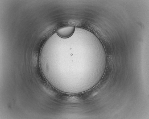 X0000115820741200911271137