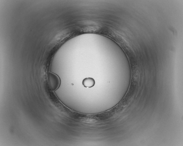 X0000115820743200911271137