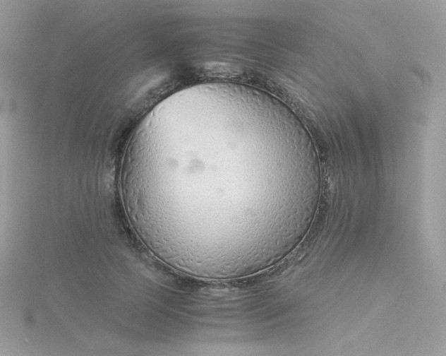 X0000115820745200911271137