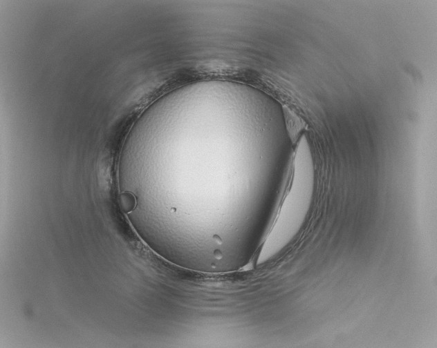 X0000115820746200911271137