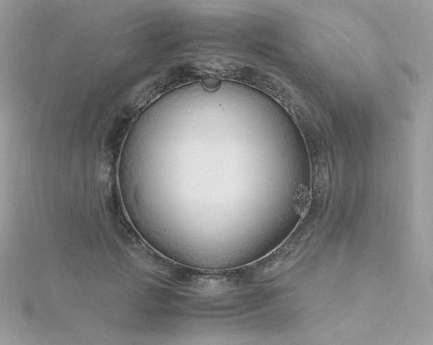 X0000115820749200911271137