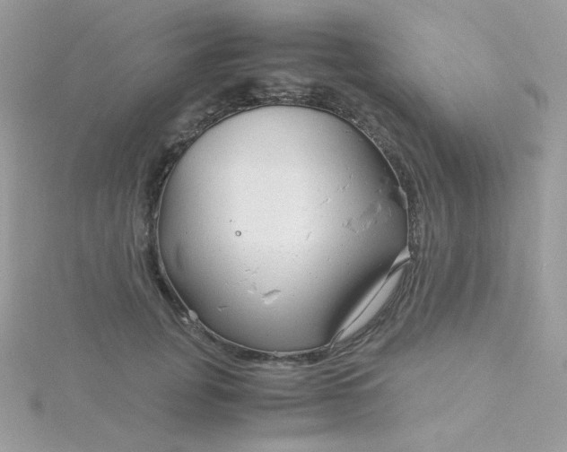 X0000115820751200911271137