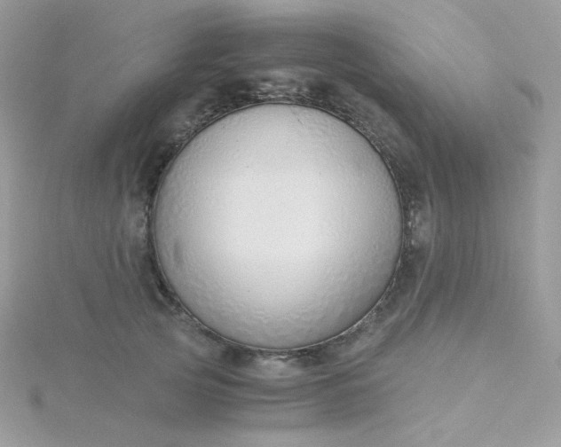 X0000115820753200911271137