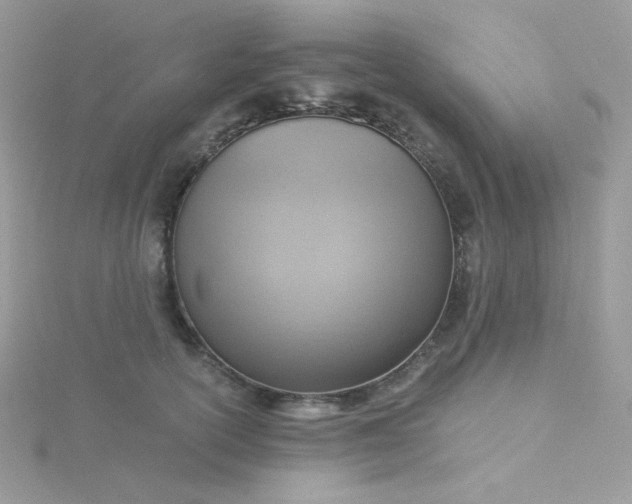 X0000115820754200911271137