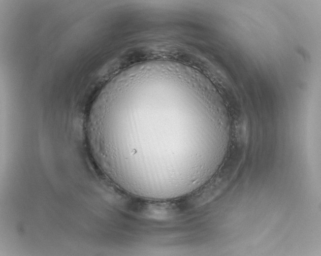 X0000115820757200911271137