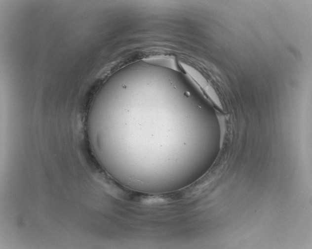 X0000115820759200911271137