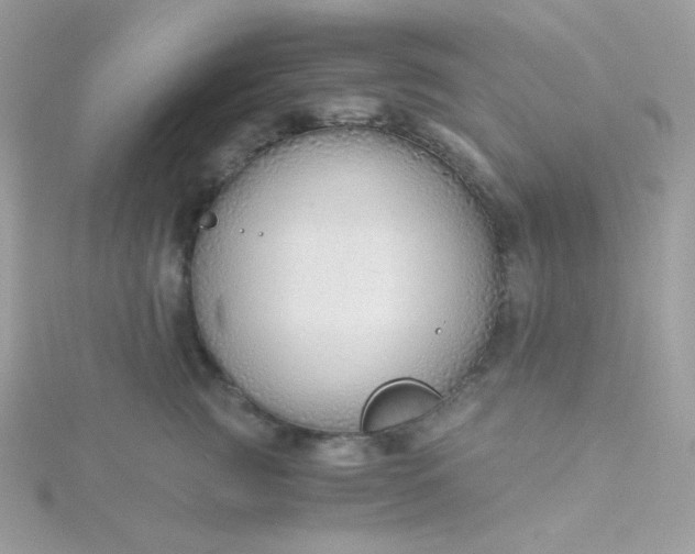 X0000115820761200911271137