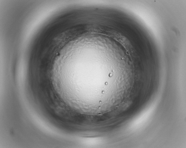 X0000115820765200911271137