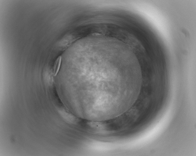 X0000115820766200911271137