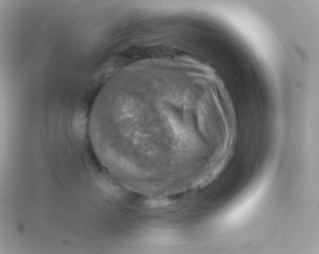 X0000115820767200911271137