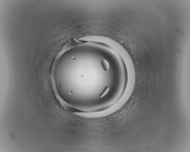 X0000115820769200911271136