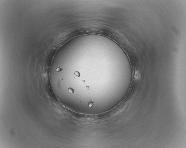 X0000115820771200911271136