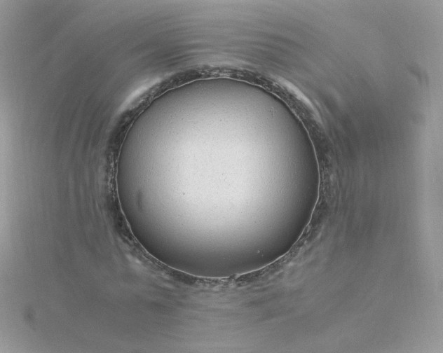 X0000115820775200911271136