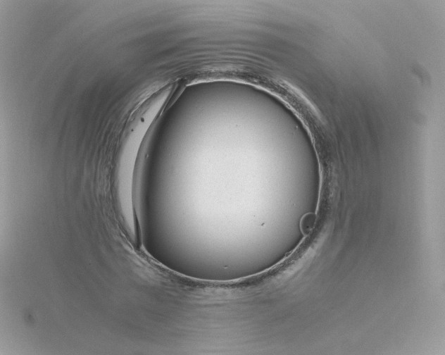 X0000115820777200911271136