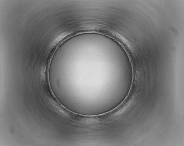 X0000115820778200911271136