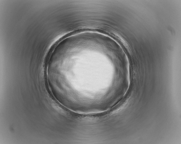 X0000115820779200911271136