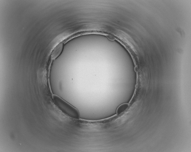 X0000115820781200911271136