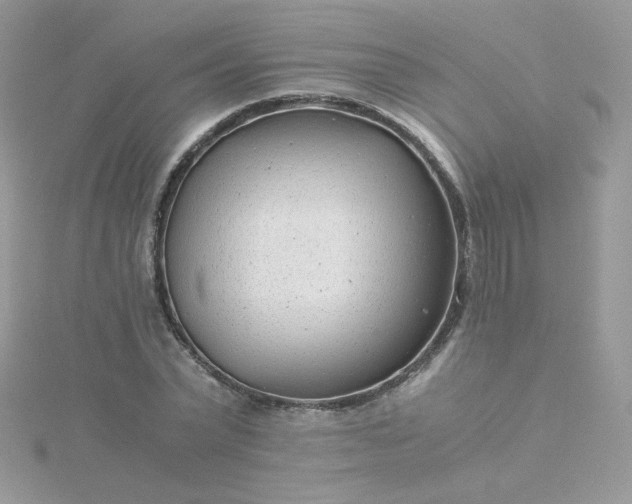 X0000115820783200911271136