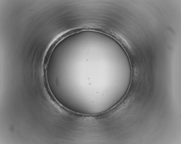 X0000115820784200911271136