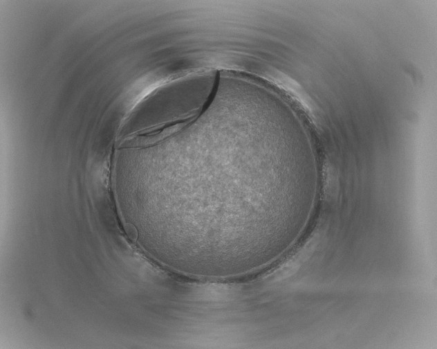 X0000115820785200911271136