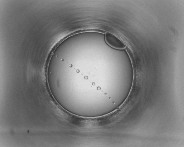 X0000115820789200911271136