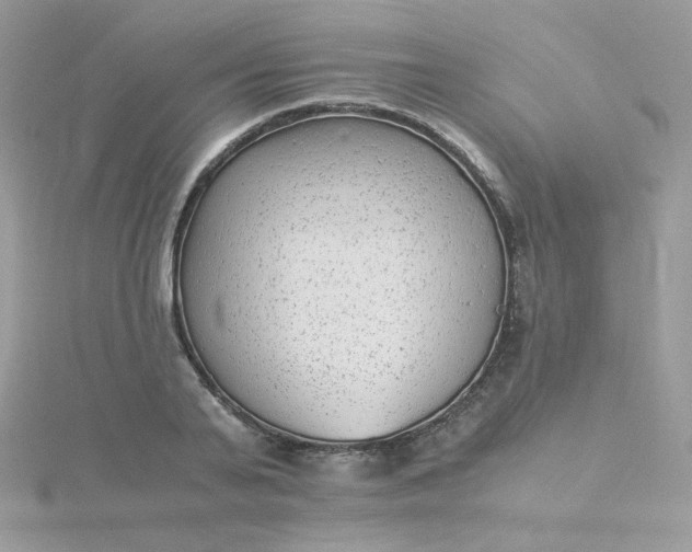 X0000115820791200911271136