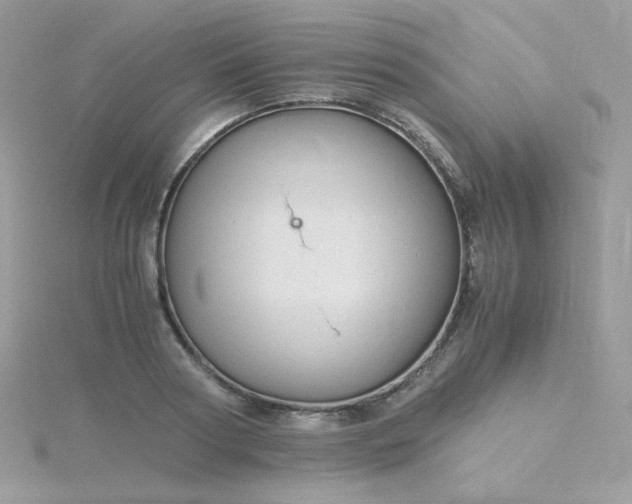 X0000115820794200911271136