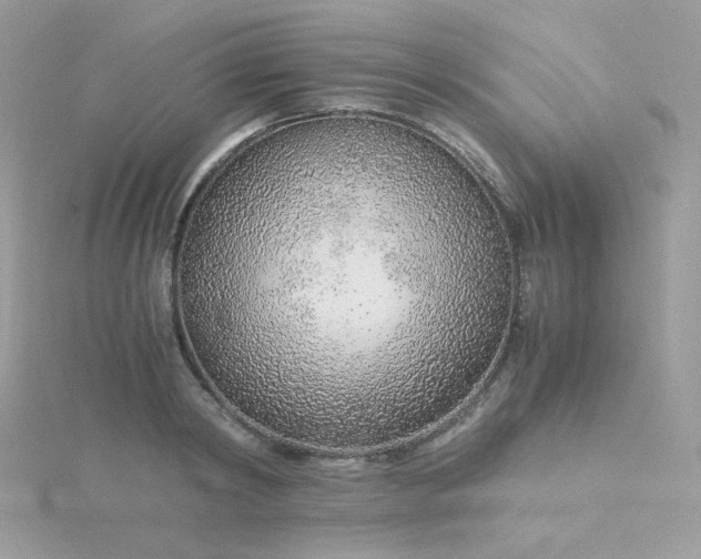 X0000115820798200911271136