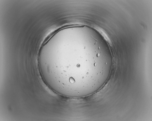 X0000115820805200911271136