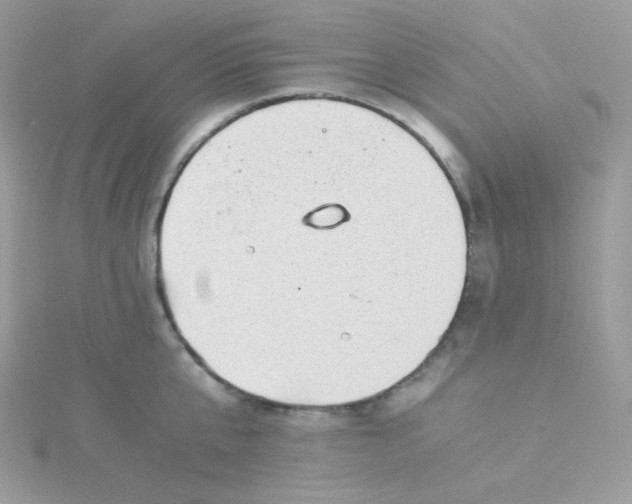 X0000115820807200911271136