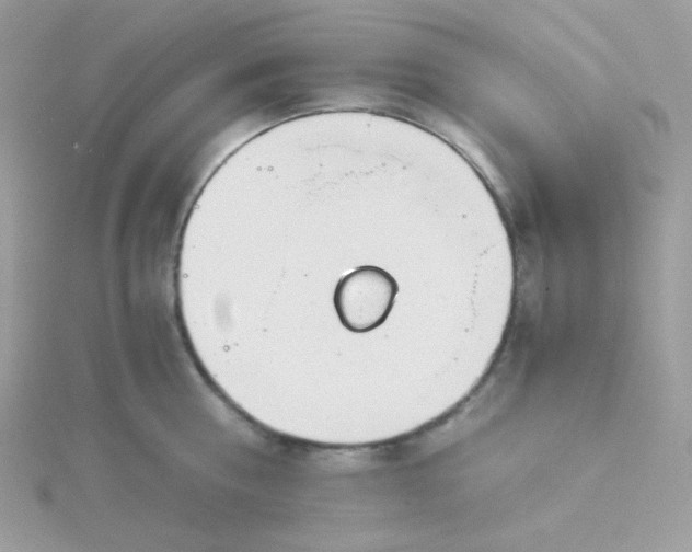 X0000115820810200911271136